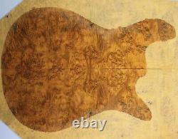 5A Figure Les Paul Guitar Drop Top Birdseye Golden Phoebe Wood Burl Set Luthier
