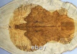 5A Spalted Golden Phoebe Wood Burl Electric Bass Drop Top Set Luthier 7715-1