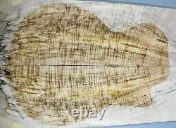AAAAA Ripple Spalted Maple Wood Bookmatch Electric Bass Top Set Luthier 7944-4