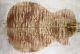 Aaaa Elegant Cloud Quilted Maple Wood Electric Bass Drop Top Set Luthier 8214