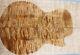 Curly Quilted Maple Wood Bookmatch Electric Bass Drop Top Set Luthier 8420