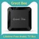 Great Bee Arabic Tv Box Free For Life X96q Android 10 Set Top Box Tv Receiver