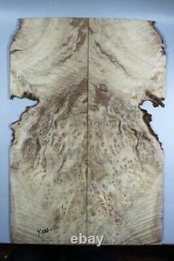 Spalted Golden Camphor Wood Burl Electric Bass Bookmatch Top Set Luthier Y388-1