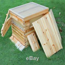 Top Beekeeping Wooden House Box + 7pc Automatic Harvest Honey Beehive Frames Set