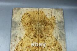 Worm-hole Spalted Maple Wood Bookmatch Electric Bass Drop Top Set Luthier 7548